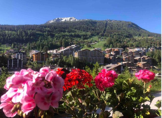 Sunny Swiss Mountain Studio In Centre By Jolidi Нанда Экстерьер фото